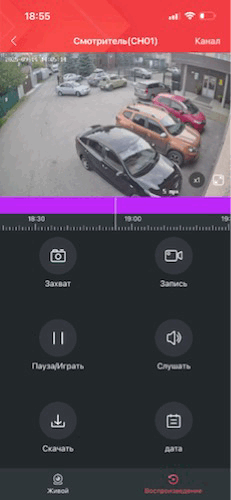 ScreenRecording_10-02-2025 19.GIF